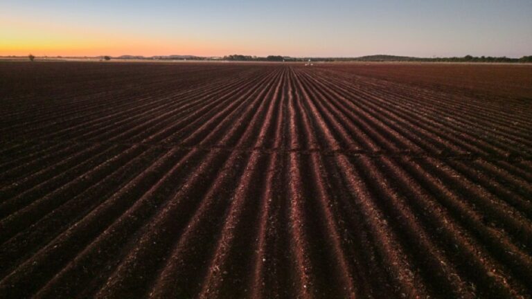 Zimbabwe farmers seek US help over long-promised payouts